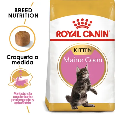 Royal Canin Maine Coon Kitten - 2 x 10 kg - Pack Ahorro