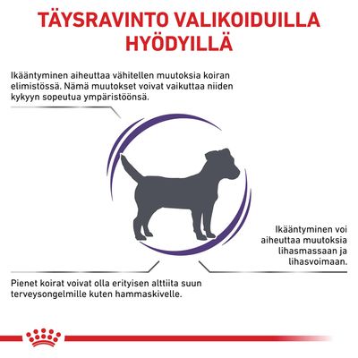 Royal Canin Expert Mature Consult Small Dogs S. pakkaus, jossa on kuva pienestä koirasta.