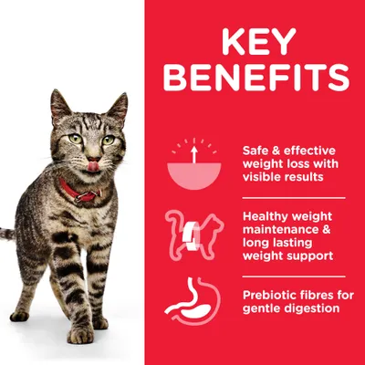KEY BENEFITS: Safe & effective weight loss with visible results, Healthy weight maintenance & long lasting weight support, Prebiotic fibres for gentle digestion (κείμενο στα αγγλικά)