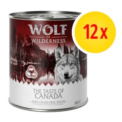 Wolf of Wilderness The Taste of Canada, 100% Grain-Free Recipe, puszka 800 g, zestaw 12 sztuk widoczny na żółtym tle.