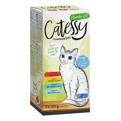 Mixpack Catessy mističky 8 x 100 g - kousky v omáčce mix