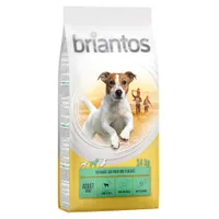Briantos Adult Mini Agnello & Riso Crocchette per cane - 2 x 14 kg