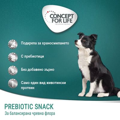 CONCEPT FOR LIFE. Подкрепа за храносмилането, с пребиотици, без добавено зърно, само един вид животински протеин. PREBIOTIC SNACK – за балансирана чревна флора.