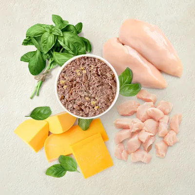 Ingredientes: carne fresca de pollo, queso, albahaca y un cuenco con comida húmeda triturada. Representación de los componentes principales del producto.