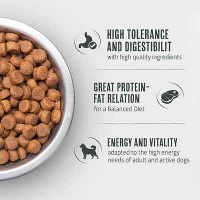 Dry food in bowl. Features: high tolerability and digestibility, good protein-fat ratio for balanced nutrition, energy and vitality for active adult dogs.