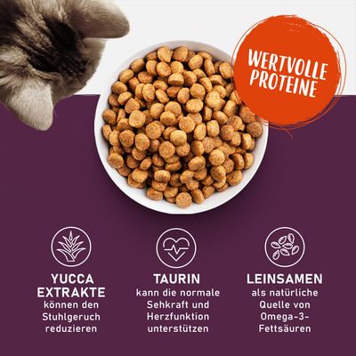 Trockenfutter in Schale mit Text: Wertvolle Proteine. Yucca-Extrakte reduzieren Stuhlgeruch, Taurin unterstützt Seh- und Herzfunktion, Leinsamen als Quelle von Omega-3-Fettsäuren.