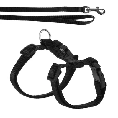 Black harness with adjustable straps and click fasteners, including matching lead with metal carabiner.