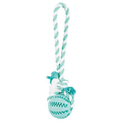 Trixie Denta Fun Corde de jeu avec balle pour chien Ø 7 x L 24 cm