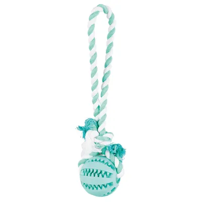 Trixie Denta Fun Corde de jeu avec balle pour chien - Ø 7 x L 24 cm Trixie Denta Fun Corde de jeu avec balle pour chien - Ø 7 x L 24 cm