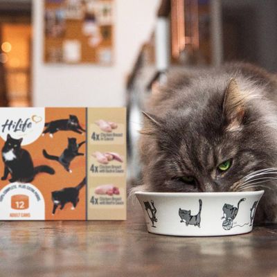 Adult cat eating from a bowl next to a box showing three types of chicken-based food, each with four cans: chicken breast in sauce, chicken fillet with tuna, and chicken breast with duck.