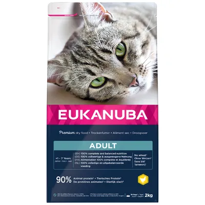 Eukanuba Adult Premium dry food for cats, 100% complete and balanced, wheat-free, 90% animal protein, suitable for cats aged 1-7 years. Pack size: 2kg.