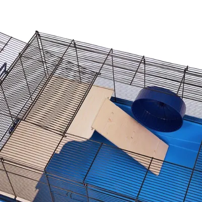 Kleintierkäfig mit Metall-Gitterwänden, Holzrampe und blauem Laufrad auf Kunststoffboden.