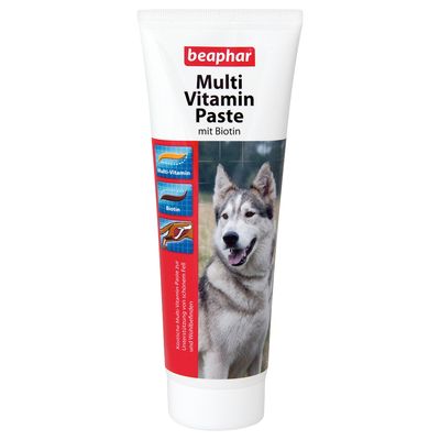 Tube beaphar Multi Vitamin Paste mit Biotin, mentions visibles : Multi-Vitamin, Biotin, photo d’un chien sur l’emballage.