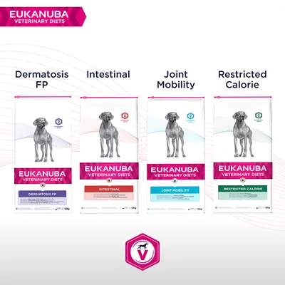 Vier Eukanuba Veterinary Diets Futtersäcke: Dermatosis FP, Intestinal, Joint Mobility und Restricted Calorie. Jeder Sack zeigt einen Hund und den jeweiligen Diät-Namen. Vier Eukanuba Veterinary Diets Futtersäcke: Dermatosis FP, Intestinal, Joint Mobility und Restricted Calorie. Jeder Sack zeigt einen Hund und den jeweiligen Diät-Namen.