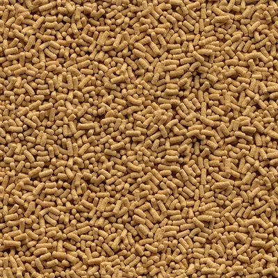 Vue rapprochée de granulés alimentaires marron clair, forme cylindrique irrégulière, sans marque ni texte visible. Convient pour identifier la texture et le format du produit.