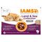 IAMS Delights / Advanced Nutrition Adult in Gelee 12 x 85 g Land & Sea Mix