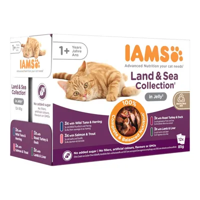 IAMS Advanced Nutrition Adult i gelè eller saus 48 x 85 g