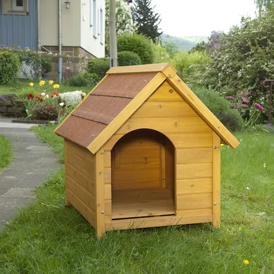 Wooden dog kennel with pitched roof and open entrance, placed on grass outdoors. Roof has brown shingles, walls are natural wood panels. No branding or text visible.