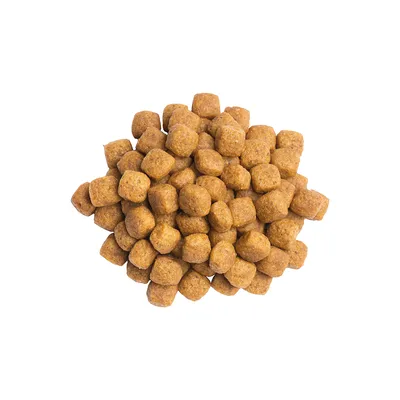 Crocchette marroni di forma cubica, disposte in un mucchio su sfondo bianco. Nessun marchio o testo visibile.