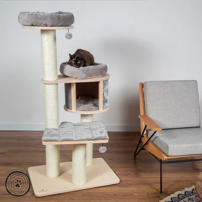 Arbre à chat en bois clair avec trois plateformes rembourrées grises, poteaux recouverts de corde, niche centrale et deux balles suspendues. Un chat est allongé sur la plateforme du milieu.