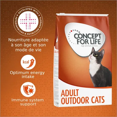 Sac Concept for Life Adult Outdoor Cats, texte visible : Nourriture adaptée à son âge et son mode de vie, Optimum energy intake, Immune system support, Developed with veterinarians & nutrition experts.
