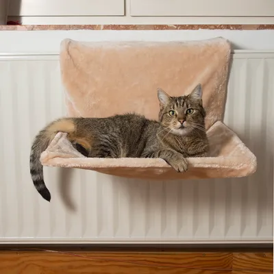 Chat allongé sur un hamac beige en tissu fixé à un radiateur blanc, dossier et assise rembourrés visibles.