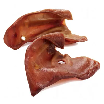 Två torkade gristöron som naturligt tuggben för hundar, brun färg och lätt glänsande yta. Två torkade gristöron som naturligt tuggben för hundar, brun färg och lätt glänsande yta.