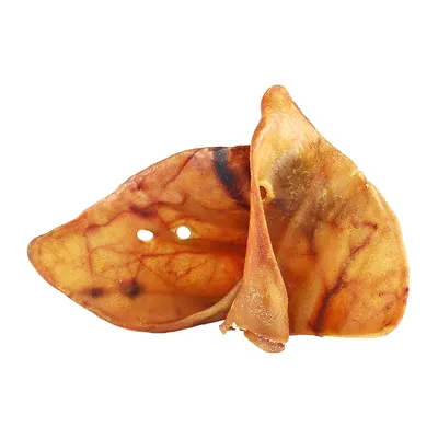 Dried pig ear as a natural chew snack, brown colour with visible textures and holes.