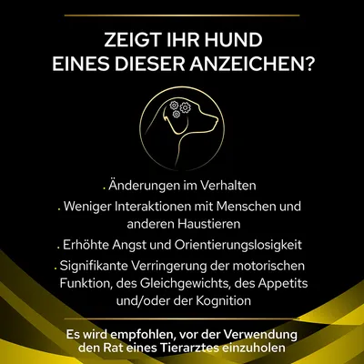 Zeigt Ihr Hund eines dieser Anzeichen? Änderungen im Verhalten, weniger Interaktionen, erhöhte Angst, motorische Einschränkungen. Empfehlung: Tierarzt konsultieren vor Verwendung.