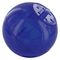 Petsafe SlimCat Futterball blau