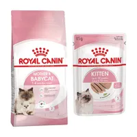 Mix-Probierpaket 400 g Royal Canin Kitten Trockenfutter + 12 x 85 g Pouch - Mother & Babycat + Kitten Mousse