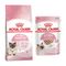 Mix-Probierpaket 400 g Royal Canin Kitten Trockenfutter + 12 x 85 g Pouch Mother & Babycat + Kitten Mousse