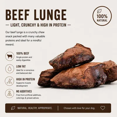 Okse-lunge, let, sprød og proteinrig. 100% oksekød, fedtfattig, højt proteinindhold, ingen tilsætningsstoffer, 100% naturlig. Naturlig, sund tygge-snack.