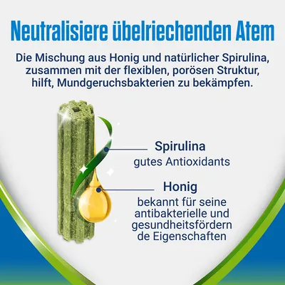 Neutralisiere übelriechenden Atem. Mischung aus Honig und Spirulina bekämpft Mundgeruchsbakterien. Spirulina: gutes Antioxidants, Honig: antibakterielle und gesundheitsfördernde Eigenschaften.