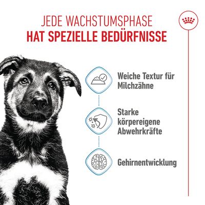 Royal Canin Maxi Puppy in Sossee - Sparpaket: 20 x 140 g