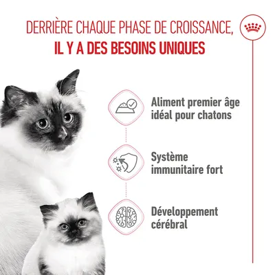 Aliment de première étape idéal pour les chatons, système immunitaire renforcé, développement cérébral. Les besoins à chaque phase de croissance sont uniques.