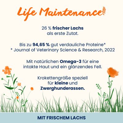 Almo Nature Holistic Maintenance Trockenfutter für Hunde mit frischem Lachs, 2kg Packung. Produkt nicht an Tieren getestet.