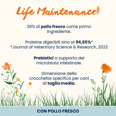 Almo Nature Holistic Medium Adult con Pollo Fresco
