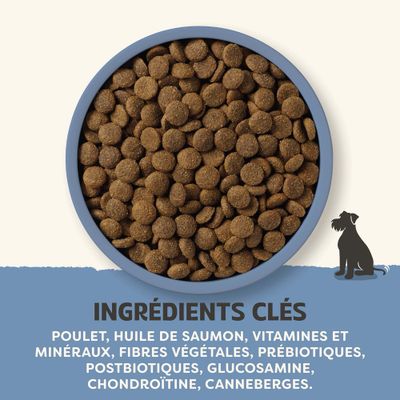 Ingrédients clés : poulet, huile de saumon, vitamines, minéraux, fibres végétales, prébiotiques, postbiotiques, glucosamine, chondroïtine, canneberges.