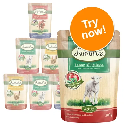 Lukullus Adult wet dog food pouches, visible flavours include Lamm all’italiana and Rind à la provençale, 300g packs. Large orange badge with white text: Try now!