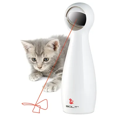 Juguete láser automático Bolt con rayo láser rojo, gato observa el láser. Adecuado para juego interactivo.