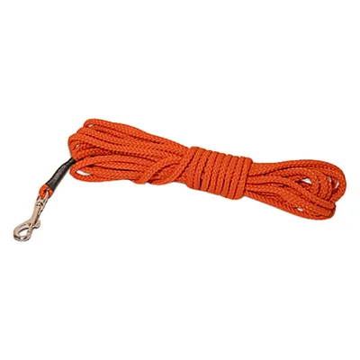 Longe en corde orange avec mousqueton métallique, adaptée pour chien. Matériau visible : corde tressée et métal.