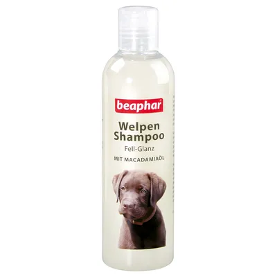 Flacon de shampooing beaphar Welpen Shampoo Fell-Glanz mit Macadamiaöl, texte en allemand, image d’un chiot sur l’étiquette.