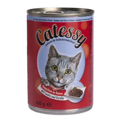 Boîte Catessy 400 g, texte visible : Häppchen in Sauce mit Lachs und Forelle, image d’un chat gris et d’une assiette de bouchées en sauce. Texte multilingue sur le haut de la boîte.