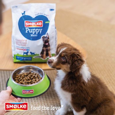 SMØLKE Puppy Maxi Trockenfutter, Hund neben Futternapf und Futterbeutel. Text: feed the love, Complete all-in-one dog food, optimal growth.