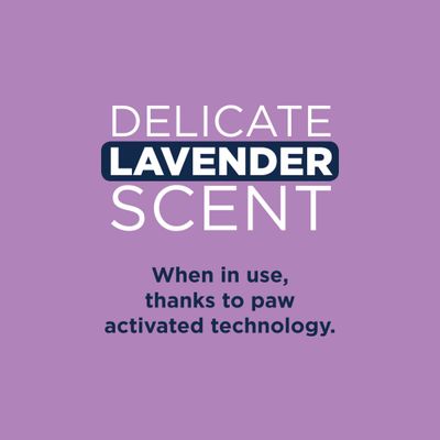 Ever Clean® Lavender csomósodó macskaalom