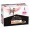 PURINA PRO PLAN Veterinary Diets DM ST/OX Diabetes Management poulet pour chat 20 x 85 g