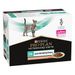 Purina Pro Plan Veterinary Diets Feline EN ST/OX Gastrointestinal Salmone 10 x 85 g