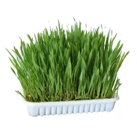 Kerbl trawa dla gryzoni  - 100 g