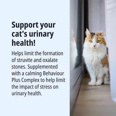 Supporta la salute delle vie urinarie del tuo gatto. Limita la formazione di calcoli di struvite e ossalato, con il complesso Behaviour Plus calmante contro gli effetti dello stress.